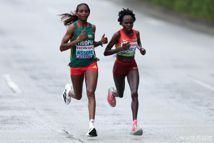 卡斯特罗加,盟国米意愿,强烈,贪玩娱乐官网,贪玩娱乐平台,贪玩娱乐体育,贪玩娱乐